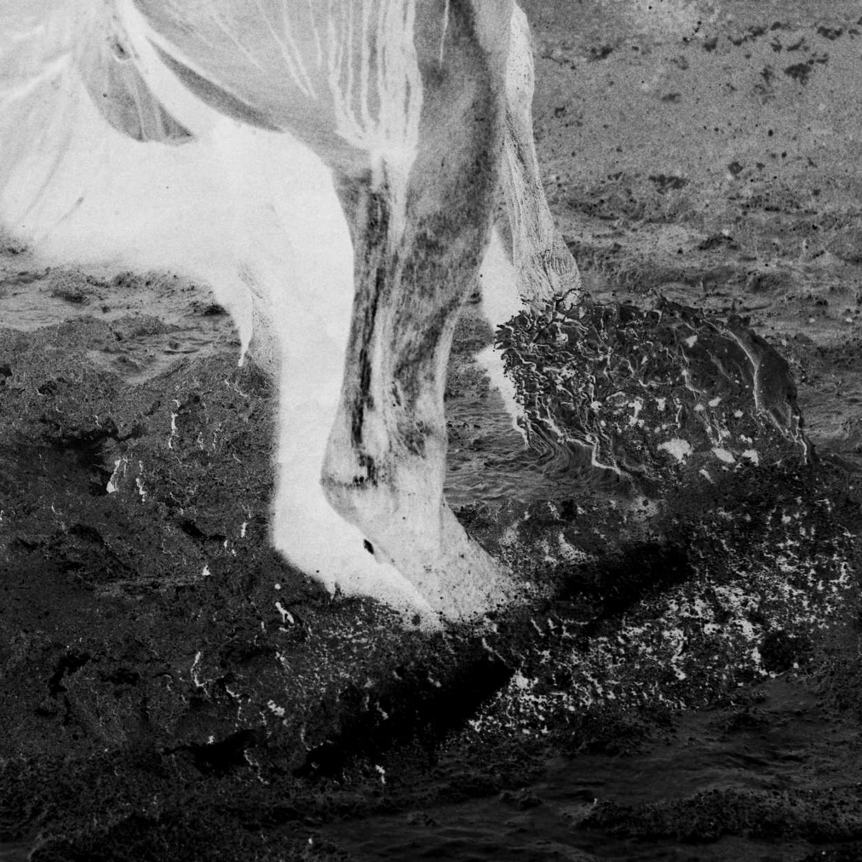 2026.06.14 韩国Melody小厅Bounce